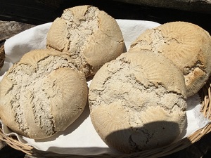 古代小麦パンやチーズを販売　山羊さんの贈り物　山梨県大月市