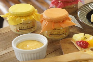 塗るタイプのチーズケーキ　ぬるチーズケーキは南ヶ丘牧場が販売　栃木県