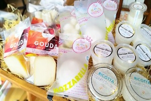 チーズ・アトリエ・モッツァオのナチュラルチーズの販売、お店の場所、通販方法　宮城県蔵王町