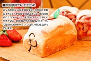 那須高原のおすすめパン屋　契約農家のとちおとめ　パン香房ベル・フルール　栃木県