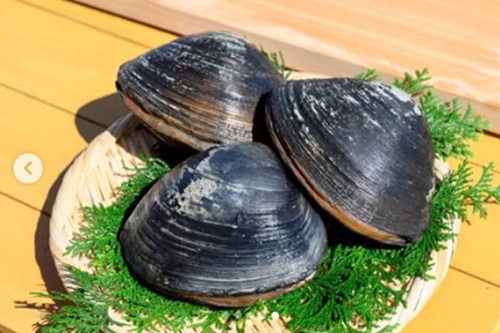 超大きい!ホッキ貝 青空レストランで紹介!