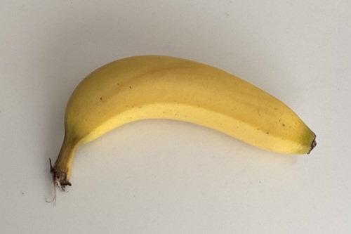 1本700円！？高級バナナが大阪にあるらしい！