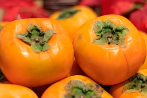 会津の極甘ブランド果実「みしらず柿」皇室献上の歴史を持つ秋の贅沢