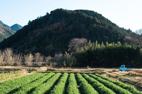 【人生の楽園】丹波 みの香ファーム｜直売所や通販・お取り寄せはできる？