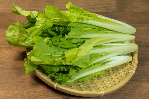 【満天☆青空レストラン】埼玉県越谷市の「山東菜」が登場！幻の白菜の驚きの甘さにトロトロ食感！レシピやお取り寄せの情報