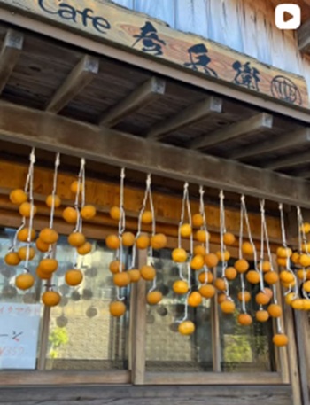 【人生の楽園】石川県加賀市「北前船の宿とカフェ」はどこ？ペットも泊まれる旧屋敷「彦兵衛」の場所・メニューまとめ