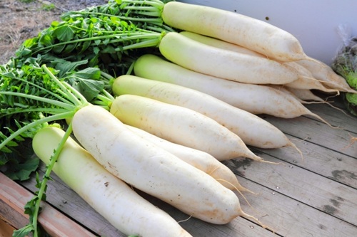 【青空レストラン】千葉・市原市「姉崎大根」のお取り寄せ・通販＆レシピ　2026年3月21日放送