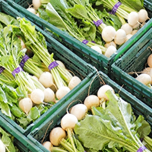 青空レストラン「三浦かぶ」の極上の甘さに感動！どこで買える？