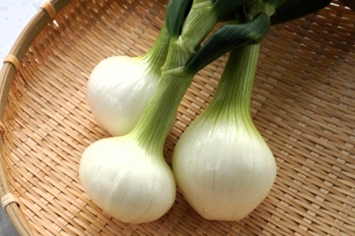 青空レストラン｜愛知県碧南市ブランド新たまねぎ「旬玉」通販・お取り寄せ＆レシピ