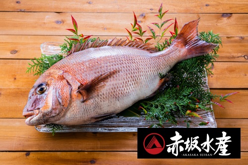 【満天☆青空レストラン】愛媛県・赤坂水産「白寿真鯛０（ゼロ）」通販・レシピ