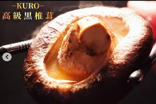 【青空レストラン】秋田県八峰町の幻の「黒椎茸・黑煌」の通販・お取り寄せ方法