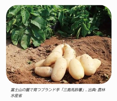【青空レストラン】三島馬鈴薯（箱根西麓・じゃがいも）どこで買える？
