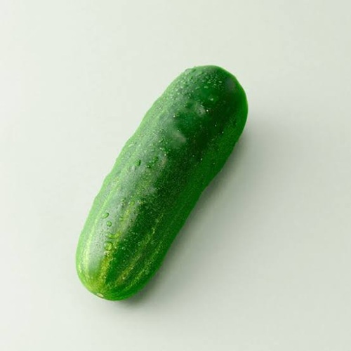 加賀野菜「加賀太きゅうり」が朝だ旅サラダで紹介されました。金沢の旬野菜